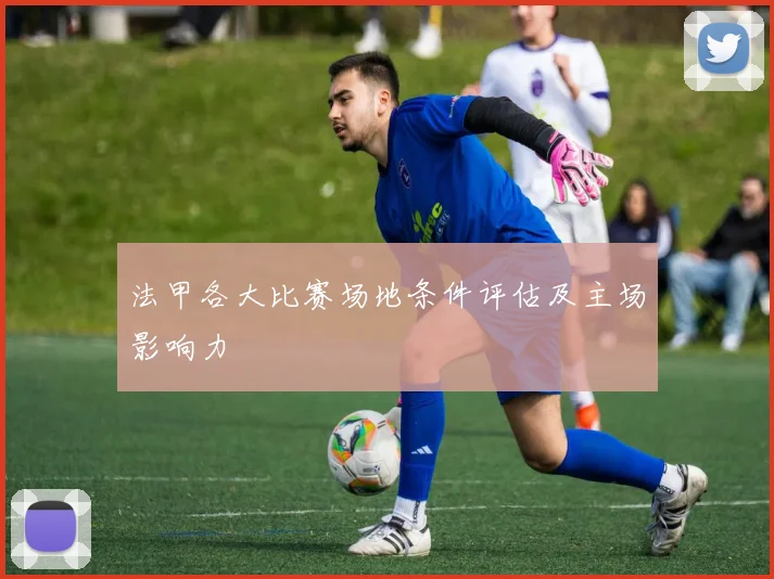 法甲各大比赛场地条件评估及主场影响力