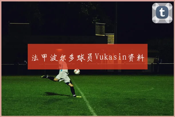 法甲波尔多球员Vukasin资料