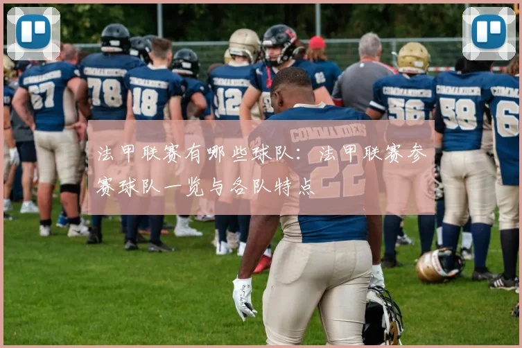 法甲联赛有哪些球队：法甲联赛参赛球队一览与各队特点