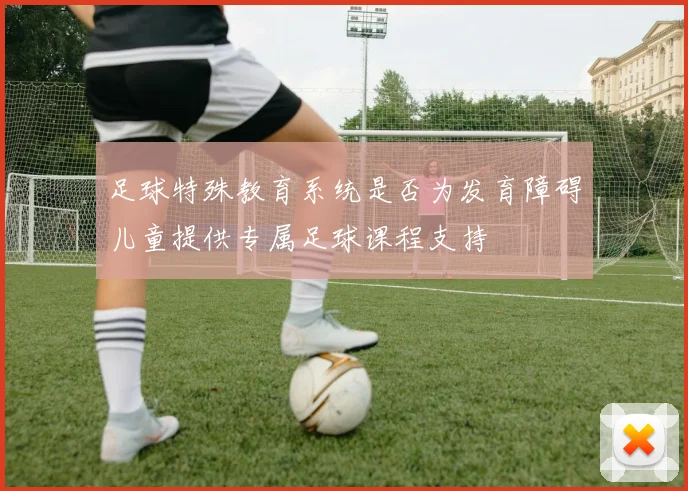 足球特殊教育系统是否为发育障碍儿童提供专属足球课程支持